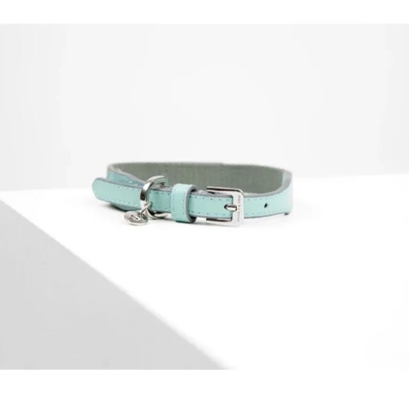 Maxbone mint pet collar. Small. - Picture 1 of 10